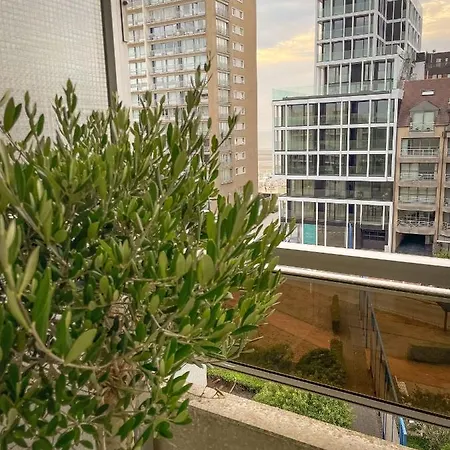 Mosselbank 511 * Nieuwpoort